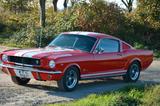 Ford Mustang Fastback 1966 Top-Zustand C-Code V8