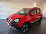 Fiat Panda Cross Twin Air 4x4 Allrad AHK Winter - Fiat Panda CROSS