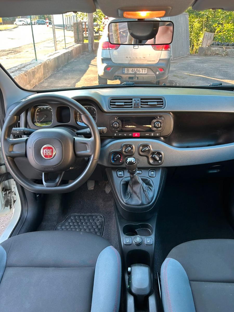 Fiat Panda Easy - Klima - 1 Hand - TÜV neu