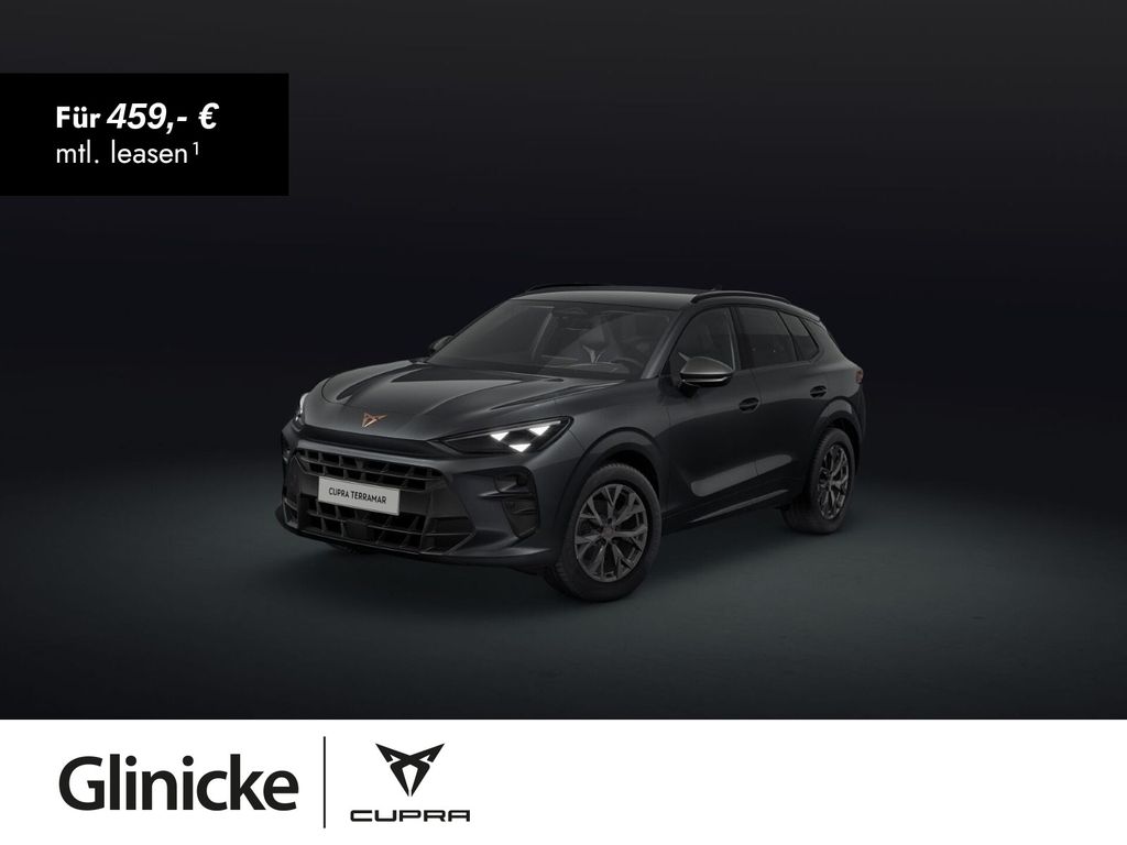 Terramar 1.5 eTSI DSG GJR Matrix Edge