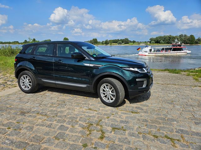 Land Rover Range Rover Evoque Pure Allrad, nur 103.844 km