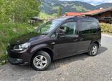 Volkswagen Caddy Edition 30 Leder AHK Alufelgen Camper  - : Alufelgen