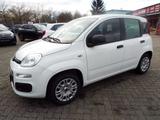 Fiat New Panda 1.0 Hybrid PDC Spurhalter Tempomat 5 S - Fiat New Panda Tageszulassungen