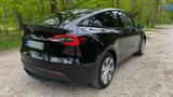 Tesla Model Y Hinterradantrieb Standard Range - Tesla Model Y von privat