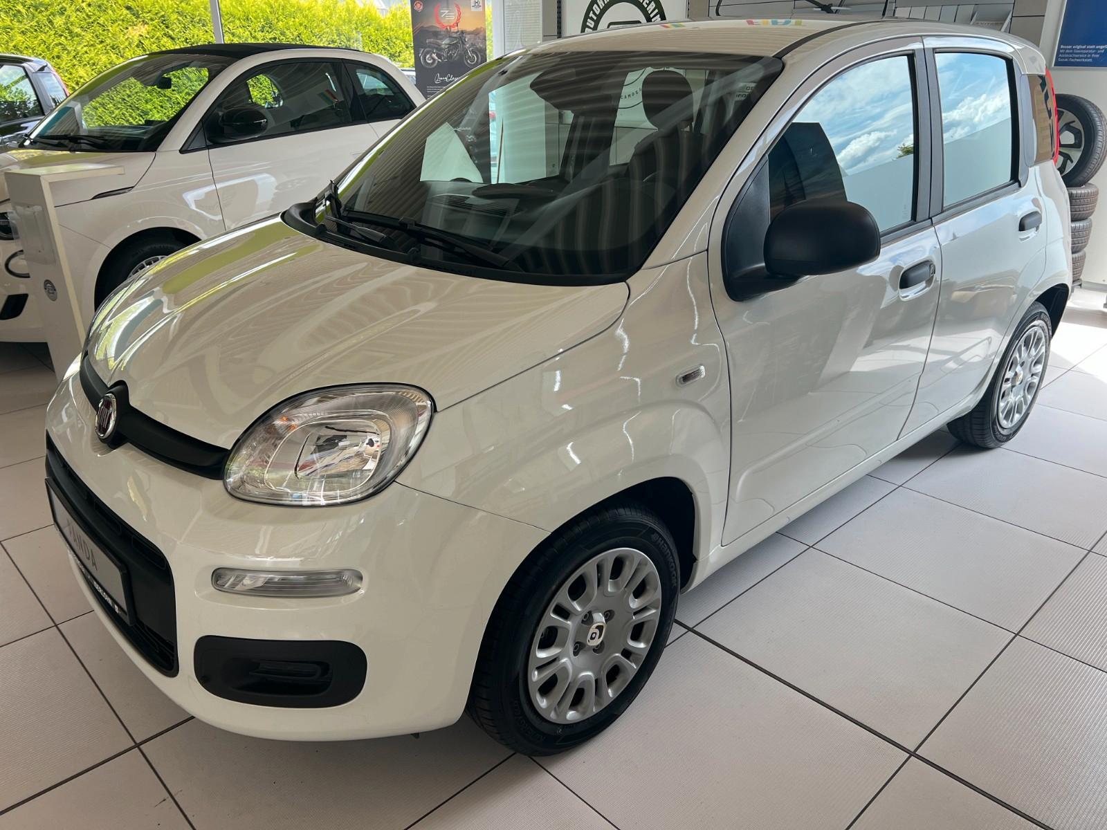 Fiat Panda (Pandina) 1.0 GSE Icon Hybrid