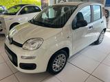 Fiat Panda (Pandina) 1.0 GSE Icon Hybrid - Fiat Panda in Hagen