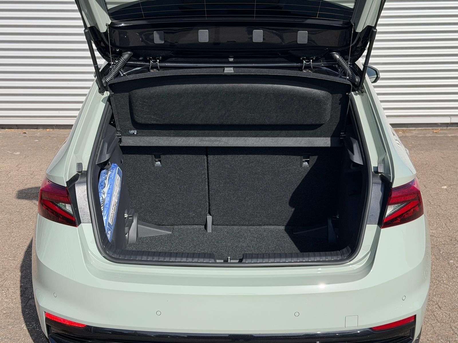 Fahrzeugabbildung SKODA Fabia 1.0 TSI Monte Carlo