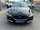 Jaguar XF 3.0 D Prestige*PANO*LEDER*GR.NAVI*BI.XEN*VOL* - Jaguar XF mit Diesel-Antrieb: 3.0