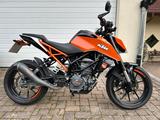 KTM Duke 125 von 2019 +TÜV, Kettensatz, Reifen Neu - KTM DUKE 125