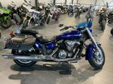 Yamaha XVS 1300 V Star*Tüv neu - YAMAHA STAR 1300