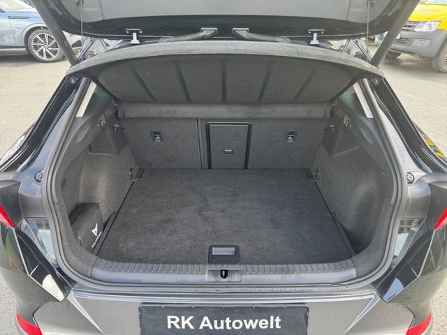 Formentor 2.0 TDI 4Dr. LED eSitz Full Link Kamer
