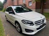 Mercedes-Benz Mercedes B250 Panorama, Kamera,Navi,Sitzhe... - Mercedes-Benz B-Class: Mercede