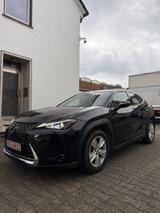 Lexus UX 250h Executive Line - Lexus UX in Essen