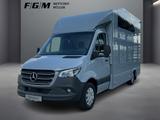 Mercedes-Benz Sprinter 319 CDI Pferdetransporter +SPU.HA+TEMP+