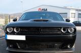 Dodge Challenger R/T  T/A-Model 400PS  Gewindefahrwerk - gebrauchte Dodge Challenger aus dem Jahr 2019