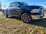 Dodge RAM 1500 4x4 - Dodge aus 2011