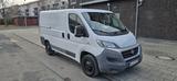 Fiat Ducato - Fiat Ducato: Kombi