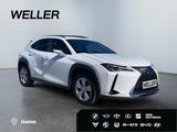 Lexus UX 250h Style Edition *PDC*ACC*Keyless*LED* - Lexus UX SUV