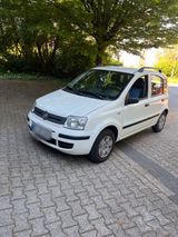 Fiat Panda Automatik TÜV 05.2027 - Fiat Panda: Auto