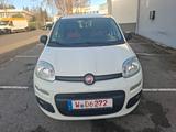 Fiat Panda Easy 1 HAND TÜV 07 2027 INSPEKTION NEU - Fiat Panda Gebrauchtwagen in Wuppertal