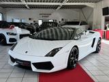 Lamborghini Gallardo LP 560-4 Spyder Leder+Kamera+Xenon+Alu+ - Lamborghini Gallardo mit Benzin-Antrieb