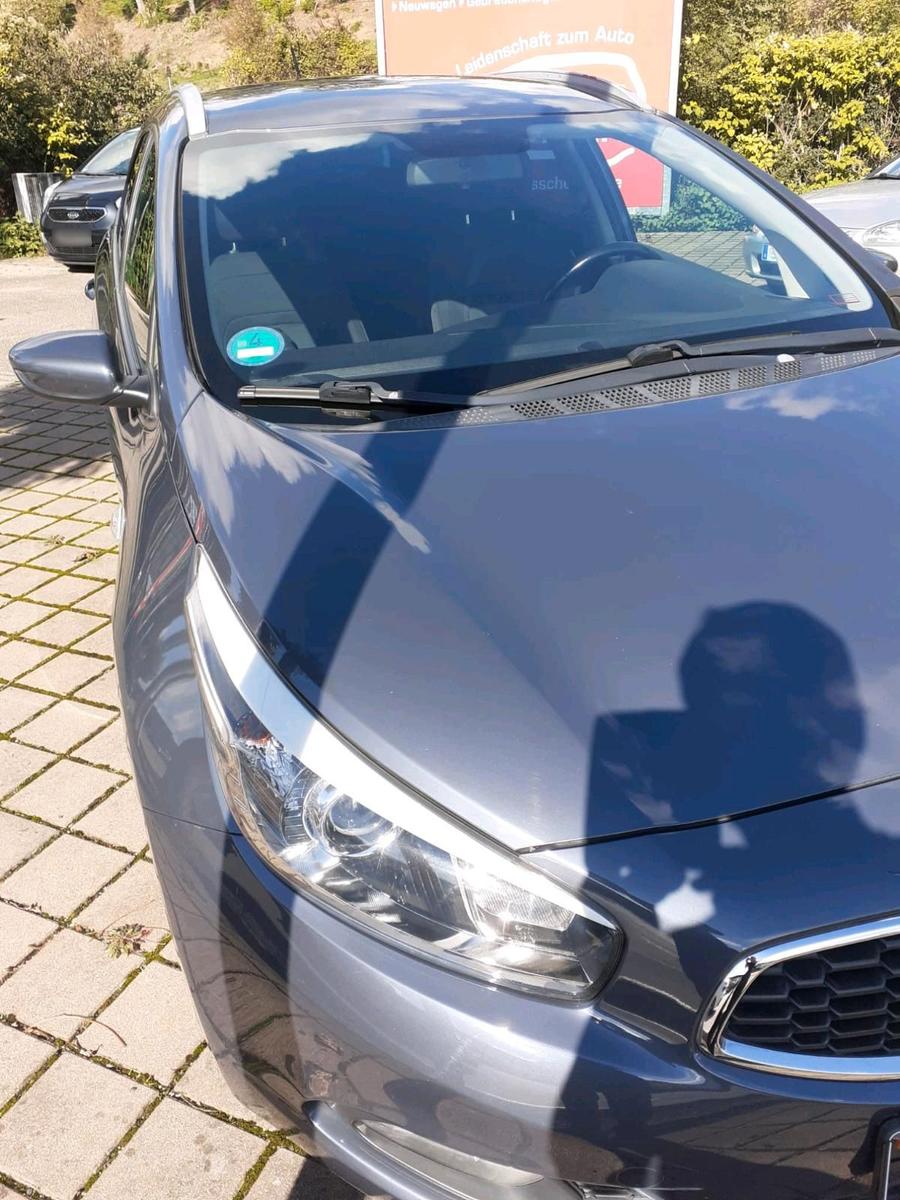 Kia cee'd 2013 — rear view