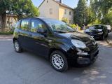 Fiat Panda 1.0 GSE Hybrid CITY LIFE CITY LIFE - gebrauchte Fiat Panda aus dem Jahr 2021