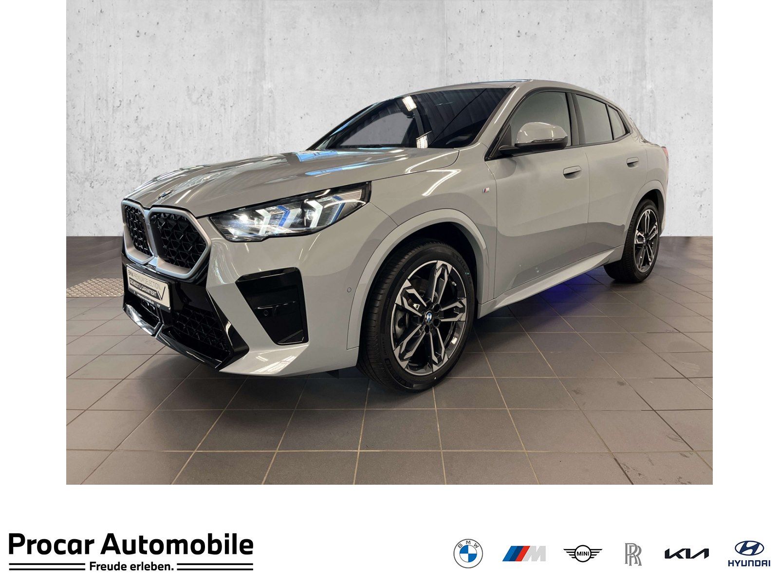 BMW X2 sDrive20i M Sport ACC RFK NAVI LED PDC V+H
