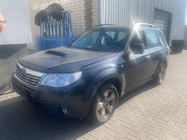 Subaru Forester Exclusive