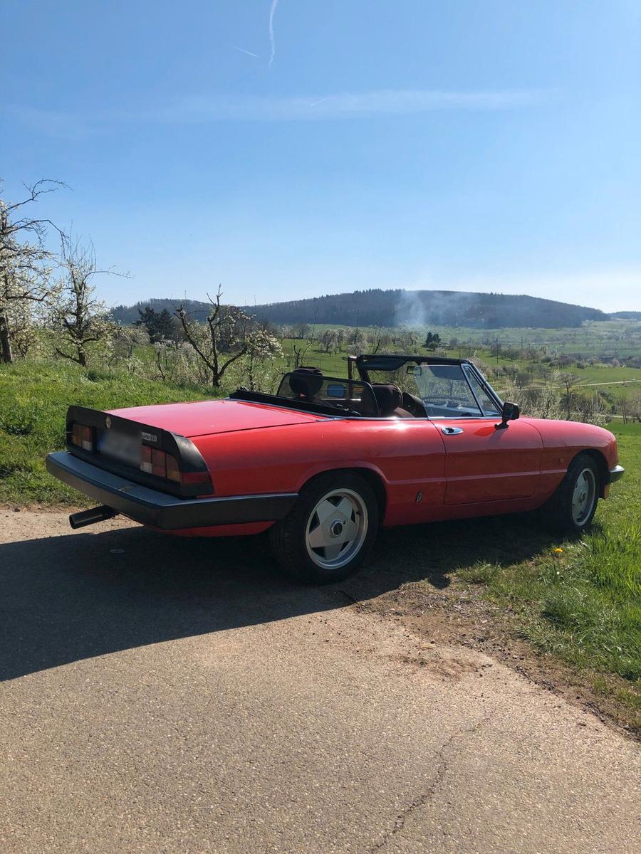 Alfa Romeo Spider