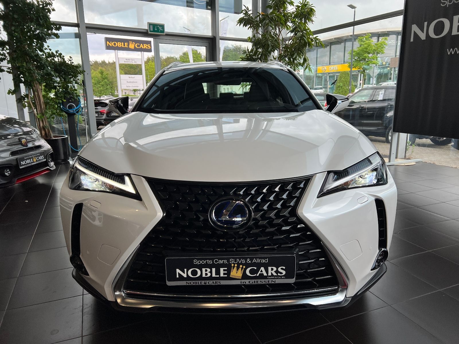 Fahrzeugabbildung Lexus UX 250h Launch Edition ACC RFK LED NAV