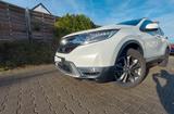 Honda CR-V 2.0 i-MMD Hybrid AWD e:HEV Executive - Honda CR-V in Köln