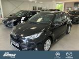 Mazda 2 Hybrid SHZ|Climaaut.|CarPlay|Kamera|LED|Alu - Mazda 2 in Bielefeld