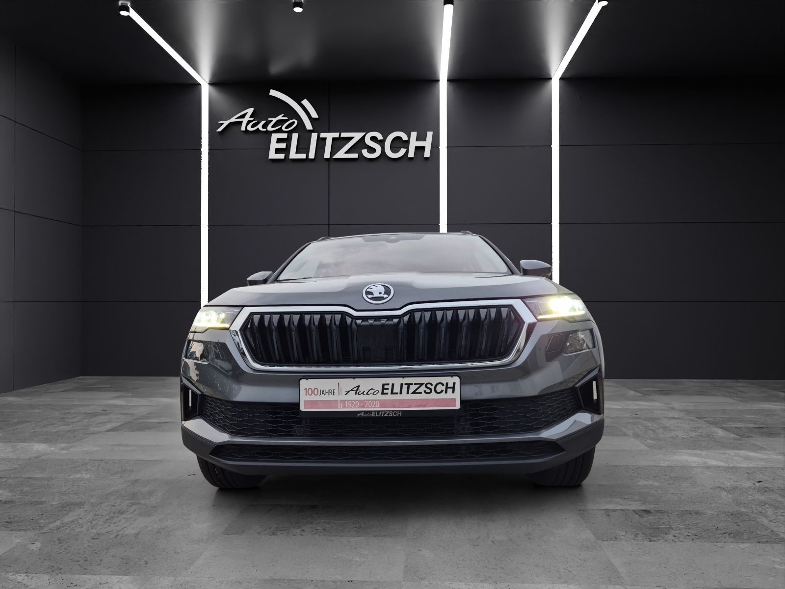 Fahrzeugabbildung SKODA Karoq TSI Tour DSG LED Navi ACC RFK SH