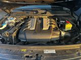 Volkswagen Touareg 3.0 V6 TDI SCR Tiptronic Executive E... - Volkswagen Touareg: Executive