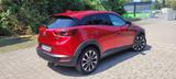 Mazda CX-3 Homura 1 Jahr Garantie  - Mazda: Mazda3