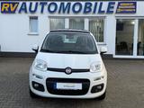 Fiat Panda Lounge|PANO|SHZ| - Fiat Panda Gebrauchtwagen