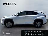 Lexus NX 300h E-FOUR Business Line *LED*ACC*Navi*CAM*S - Lexus: Nx