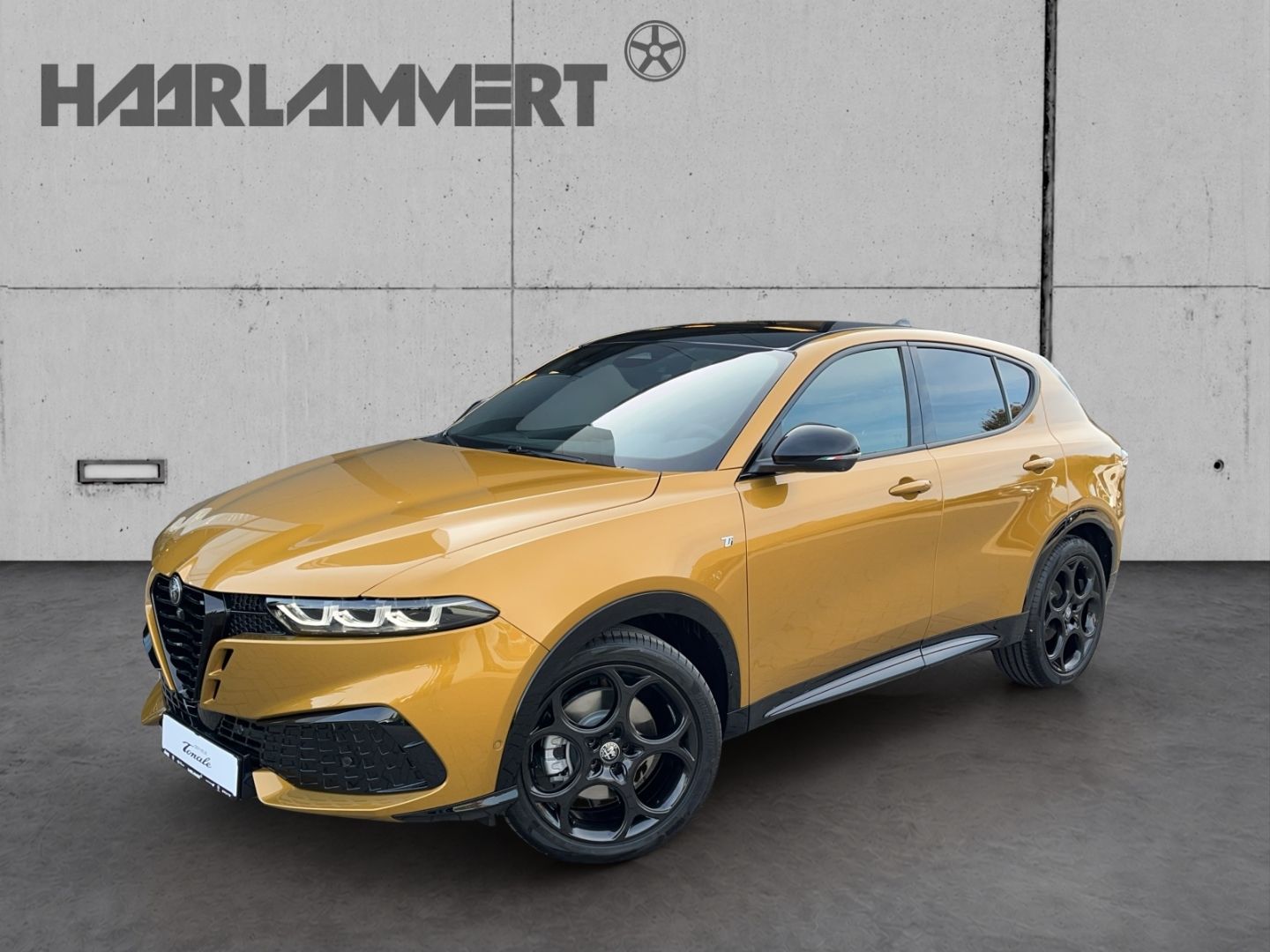 Alfa Romeo Tonale - Bild 1