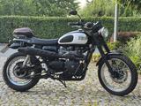 Triumph 986 Scrambler 