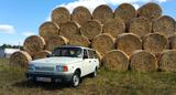 Wartburg 1.3 Tourist 43tkm Oldtimer HU 8/2027 AHK - Wartburg: Kombi