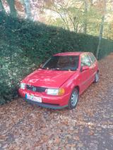 Volkswagen Polo 1.7 SDI Basis Youngtimer