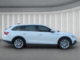 Skoda Octavia Combi SCOUT 4x4 TDI*ACC Head-Up R-Kam - Skoda Octavia: Allradantrieb, Combi Scout