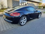 Porsche Cayman 2.7 Black Edition  - Porsche Cayman aus 2016
