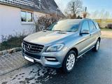 Mercedes-Benz Mercedes ML 250  - : Mercedes Ml