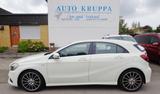 Mercedes-Benz A 180 AMG-LINE PEAK EDITION NAVI LED RFK SHZ TOP - Mercedes-Benz A-Klasse: Peak Edition