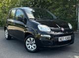 Fiat Panda 1.2 8V Lounge Klima TÜV NEU - Fiat Panda Gebrauchtwagen in Düsseldorf
