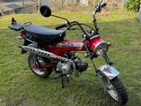 Honda DAX ST 50 Kult-Mini-Bike in Top Zustand - HONDA DAX ST 50
