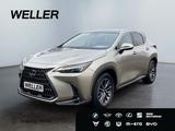 Lexus NX 350h Executive Line *Bi-LED*Pano*Leder*360*HU