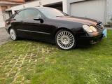 Mercedes-Benz CLK 220 CDI ELEGANCE Elegance - schwarze Mercedes-Benz CLK 220